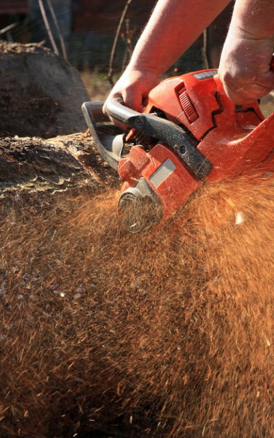 wood-tools-img-saw-1-opt