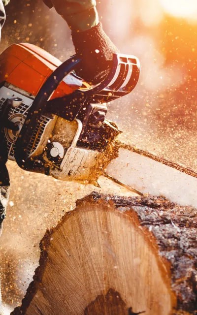wood-tools-img-saw-2-opt